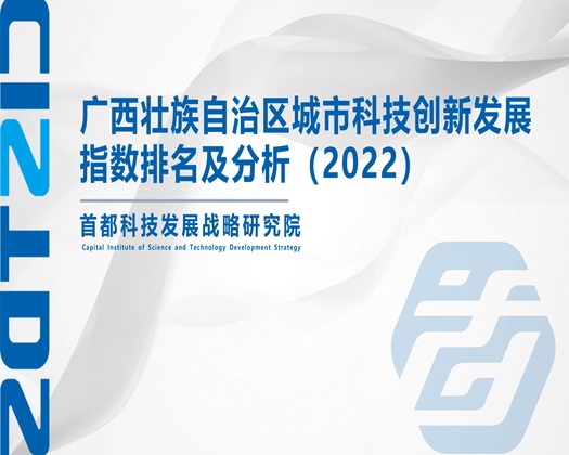 我想被操电影【成果发布】广西壮族自治区城市科技创新发展指数排名及分析（2022）